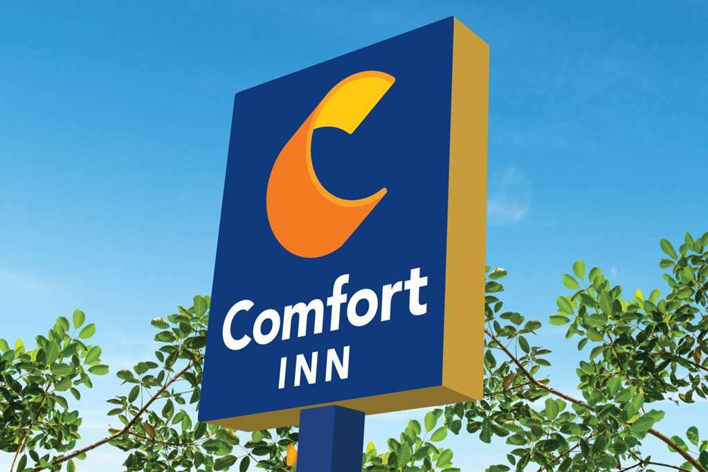 קינגס מאונטיין Comfort Inn מראה חיצוני תמונה